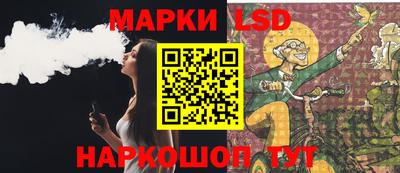 индика Заволжье