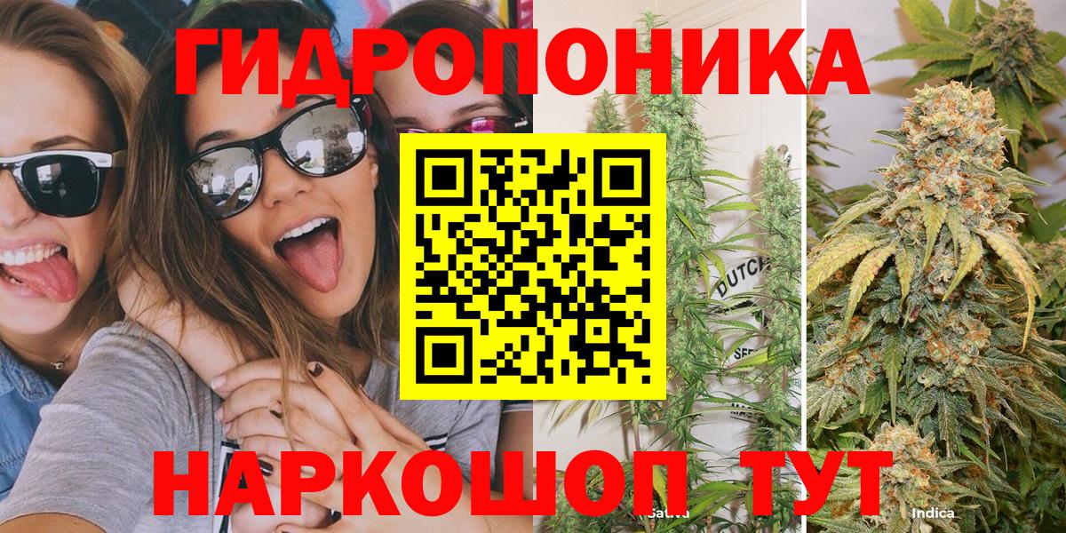 Марихуана марихуана Владимир